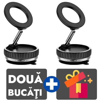 2 bucati