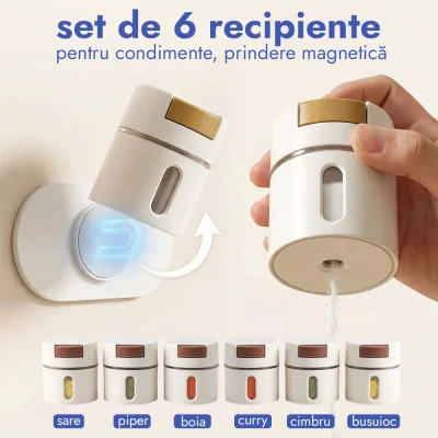 SET 6 RECIPIENTE CONDIMENTE