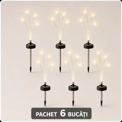 3 bucati