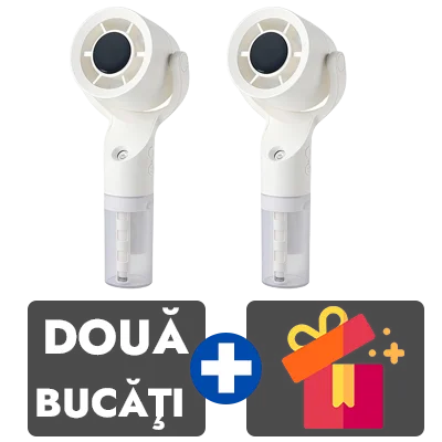 2 bucati