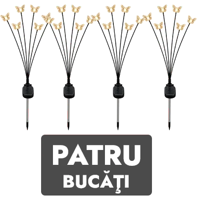 2 bucati