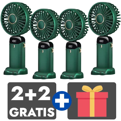 2 bucati