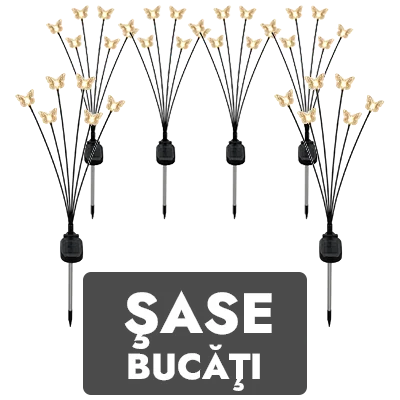 3 bucati