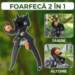 FOARFECA ALTOIT 1