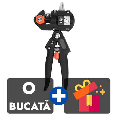O bucata