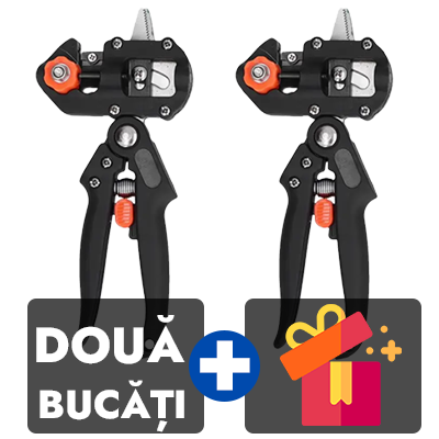 Doua bucati
