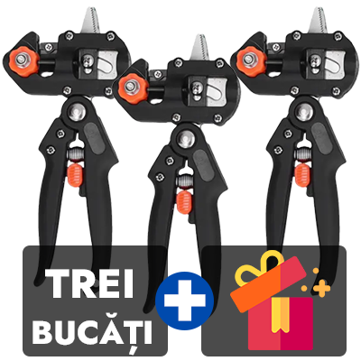 Trei bucati